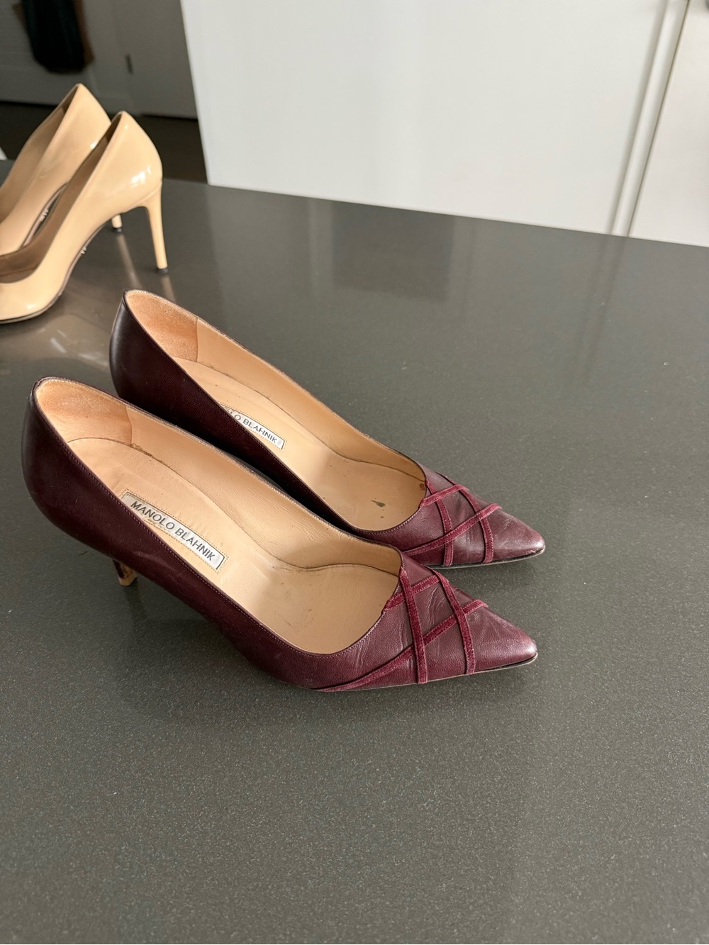 Manolo Blahnik Burgundy Pointed Toe Leather Pumps
